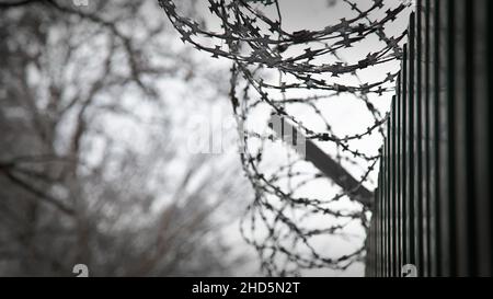 Fence with barbed wire close-up. Fence. Restricted area. Prison. Protected area. Background. Stock Photo