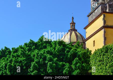 The dome rises above the treetops along with the bell-tower of the Convent of the Immaculate Conception church in San Miguel de Allende, Mexico Stock Photo