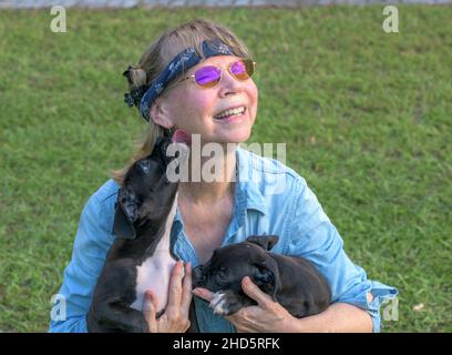 Mature woman is licked while holding Boxer puppy dogs Stock Photo