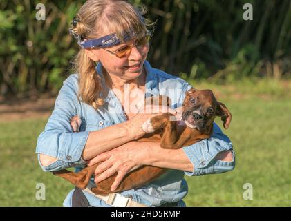 Mature woman caresses Boxer puppy dog Stock Photo