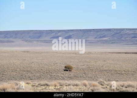 The approach to the dramatic steep cliffs of Sage Butte on the remote Adel-Denio road (OR-140, Warner Highway) in southern Oregon, United States. Stock Photo