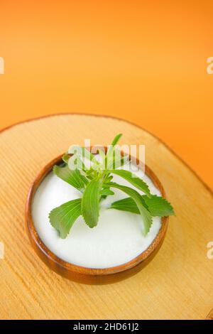 Stevia rebaudiana on orange background.Stevia fresh green twig in a cup with crystal stevia powder on a wooden saw cut on a orange background. Stock Photo