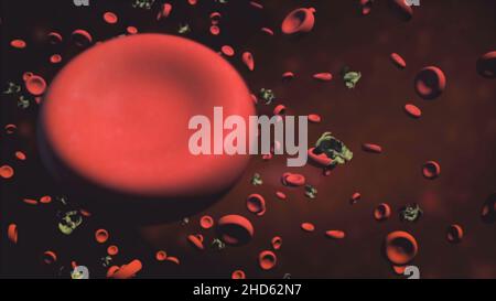 3d animation of red blood cells flowing through artery. Animation of Red  Blood Cells Flowing Through Vein. Blood cells in an artery Stock Photo -  Alamy