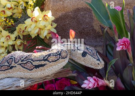 Float from the 2022 Tournament of Roses Parade Stock Photo