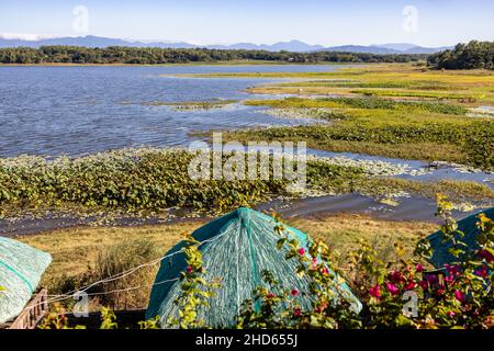 Beautiful landscape at Paoay Lake, Ilocos Norte, Philippines Stock Photo