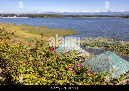 Beautiful landscape at Paoay Lake, Ilocos Norte, Philippines Stock Photo