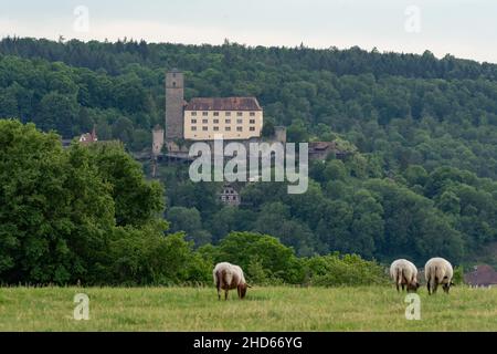 View of Guttenberg Castle from the opposite side of the Neckar River Stock Photo