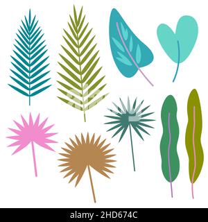 Set of simple minimalistic tropical leaves isolated on white background. Vector illustration. Stock Vector