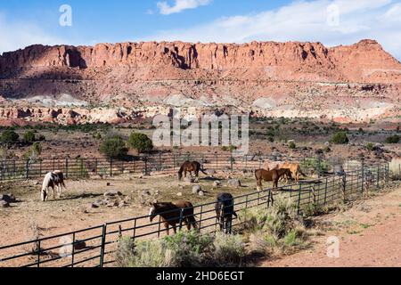 Horse corrals at the entrance to Capitol Reef National Park in Torrey, Utah Stock Photo