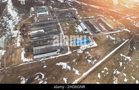 Cow barns in rural area above drone top view Stock Photo