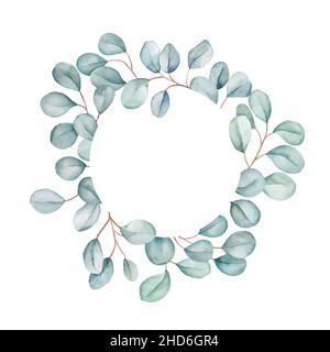 Floral eucalyptus round frame. Silvery green leaves clipart isolated on white. Watercolor illustration for your design Stock Photo