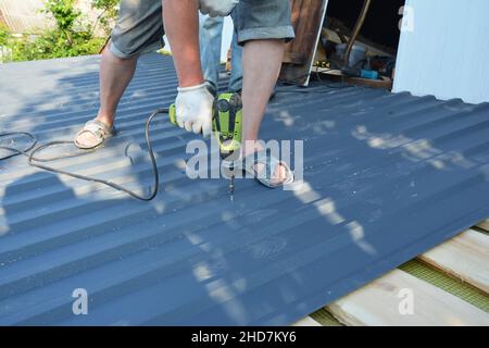 A roofing contractor is installing metal roof panels, screwing metal roofing sheet to the roof deck using an electric screwdriver. Stock Photo