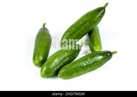 Freshly harvested mini cucumber on isolated white background Stock Photo