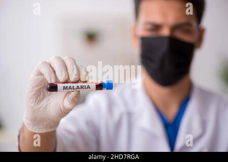 Young biochemist testing blood samples Stock Photo