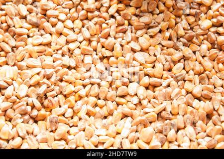 Close up of corn or background Stock Photo
