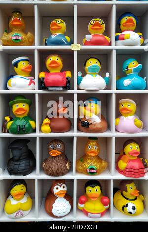 Quirky image of plastic ducks for sale in Bath. Stock Photo