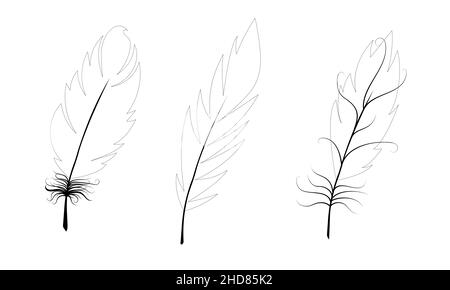 Set of bird feathers. Black feather outlines on white background. Vector illustration. Stock Vector