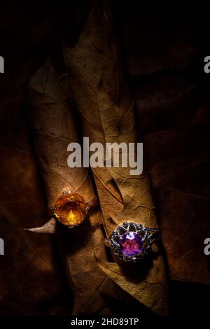 Amber and amethyst rings on autumn leaves. Stock Photo