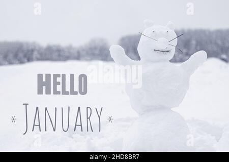 The figure of funny snowman with lettering Hello January Stock Photo