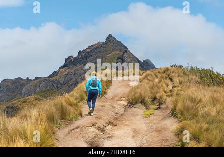 Man hiking the Rucu Pichincha volcano hike in sports clothing and backpack with Andes mountain peak in background, Pichincha volcano, Quito, Ecuador. Stock Photo