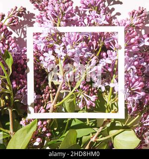 Trend sunny lilac mockup. White paper. Nature garden design. Flower card Stock Photo