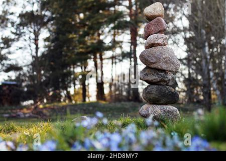 tower of stones standing on top of each other on a background of trees. balance of stones Stock Photo