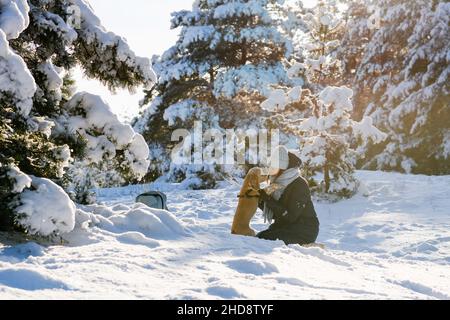 The girl sits on her knees in a snowdrift and dog stands on its two hind legs. The girl hugs her pet. Young woman with American Cocker Spaniel in the Stock Photo