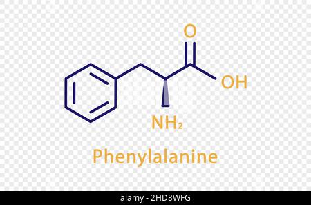 Phenylalanine chemical formula. Phenylalanine structural chemical formula isolated on transparent background. Stock Vector