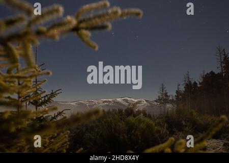 Snowy mountain through the trees in winter  Stock Photo