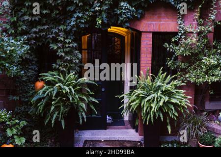 Big planters with various plants set against brick wall with windows Stock Photo