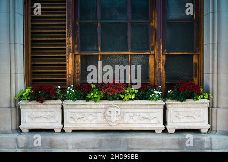 Big planters with various plants set against brick wall with windows Stock Photo