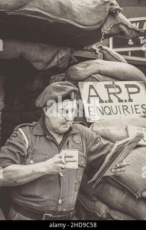 Mono close up of wartime, 1940 ARP warden (air raid precaution) reading vintage newspaper, Severn Valley heritage railway 1940s WW2 summer event UK. Stock Photo