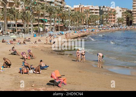 The promenade of Playa del Cura in the town of Torrevieja in the province of Alicante, Valencian Community, Spain, Europe Stock Photo