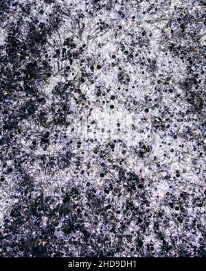 Crumbled-like background with white, gray colors and black dots Stock Photo