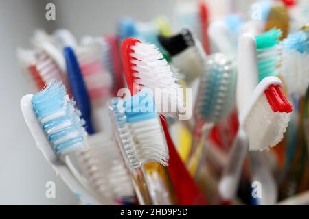 A selection of colourful plastic toothbrushes in a pot in a bathroom in Chichester, West Sussex, UK. Stock Photo