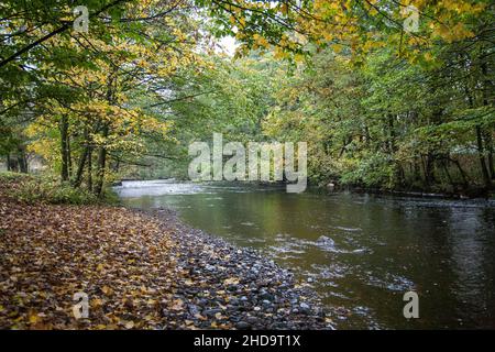 Autumnal view of the River Hodder at Dunsop Bridge Stock Photo