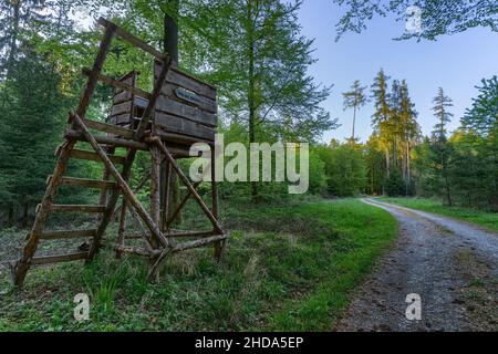 High Seat in th e woodlands called seat of the baron Stock Photo