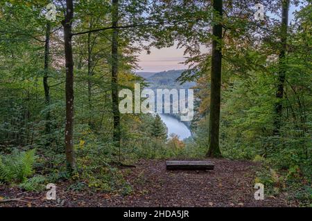 Rest area in the forest with a view of the river neckar Stock Photo