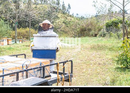 Beekeeping worker man loading honeycombs in the field for transport into a pickup truck Stock Photo