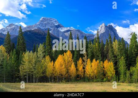 Mount Lougheed is a 3,107-metre (10,194-foot) triple-peak mountain located between Spray Lakes Reservoir and the Wind Valley of Kananaskis Country in Stock Photo