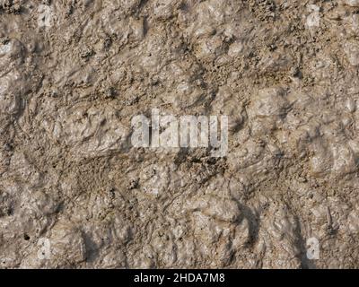 wet dry brown soil texture. Stock Photo