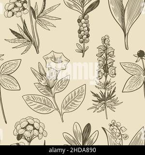 Seamless pattern with hand drawn wild plants in vintage engraving style. Medical herbs background for design and packaging.  Stock Vector