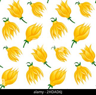 Vector seamless pattern with bud of tropical flowers ylang ylang on white background. Wallpaper with natural floral objects in cartoon style. Stock Vector