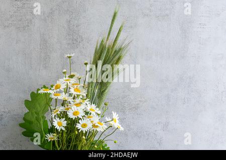 Summer bouquet of fresh field chamomiles and greenery on light grey background Stock Photo