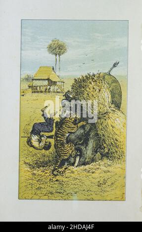 Lithograph of sport in British Burmah, Assam, and the Cassyah and Jyntiah Hills: Tiger hunting. 1879 Stock Photo
