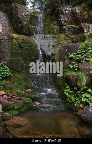 A vertical shot of a small cascade in a forest Stock Photo - Alamy