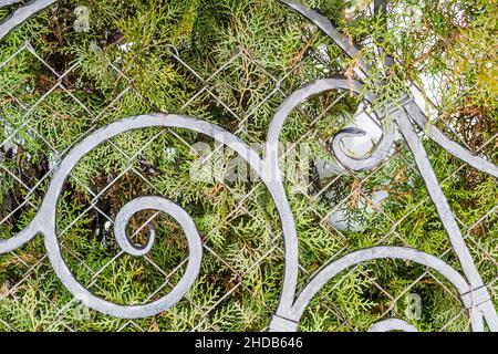 Steel street fence with decorative spirals. Stock Photo