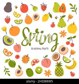 Seasonal fruits background. Spring fruit composition made of colorful hand-drawn vector icons, isolated on white background. Stock Vector
