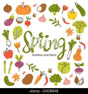 Seasonal vegetables background. Spring vegetables composition made of colorful hand-drawn vector icons, isolated on white background. Stock Vector