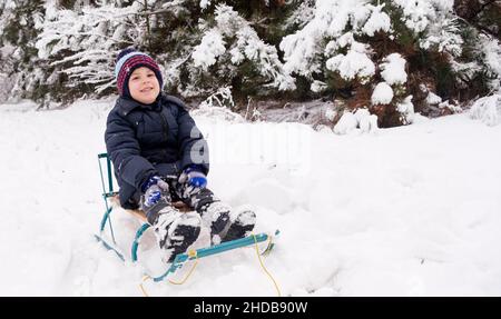 A preschooler boy sleds in a snow-covered forest in the winter Stock Photo